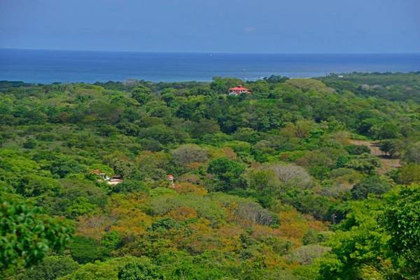 Playa Lagarto Eco Development