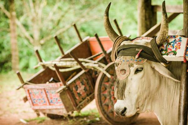 Santa Juana Lodge & Nature Reserve