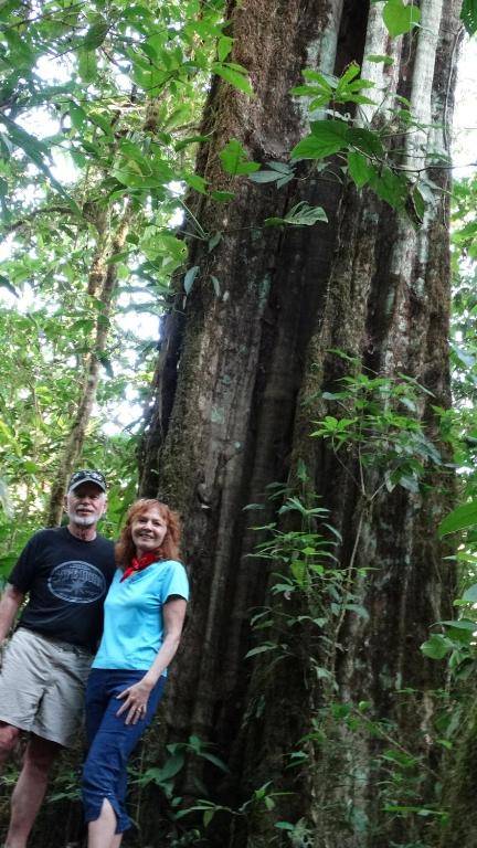 Malekus Mountain Lodge