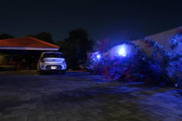 Cattleya Apartments Curacao