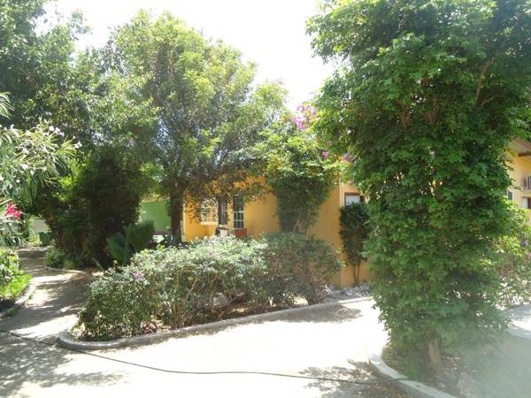 Happy Turtle Apartments