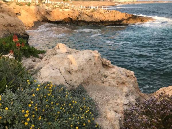 Ikaria Village Apt 201