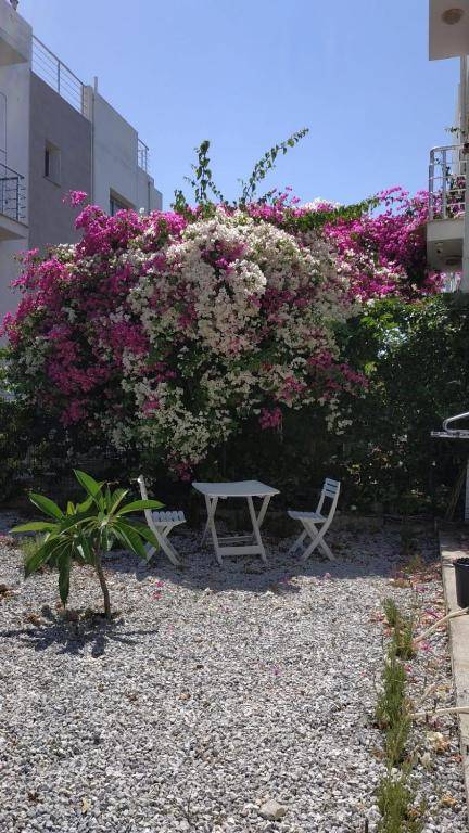 Luxury One-Bedroom Apartment with Private Garden Lukomorye E3