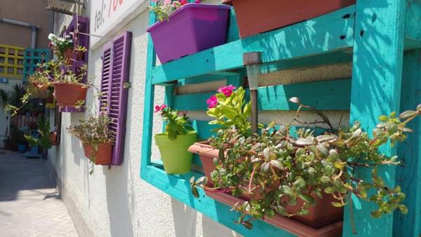 P. Ioannou Flats