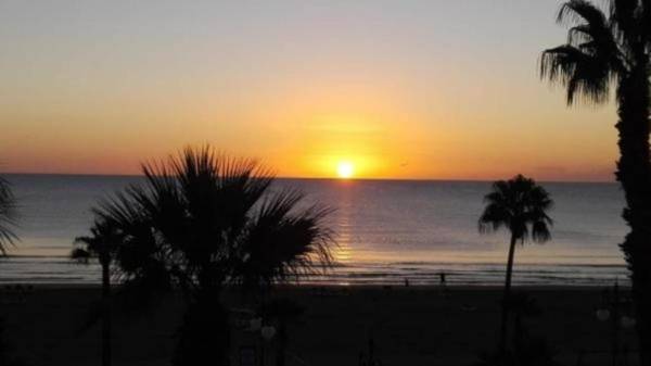 Alex Beach Apartment 203