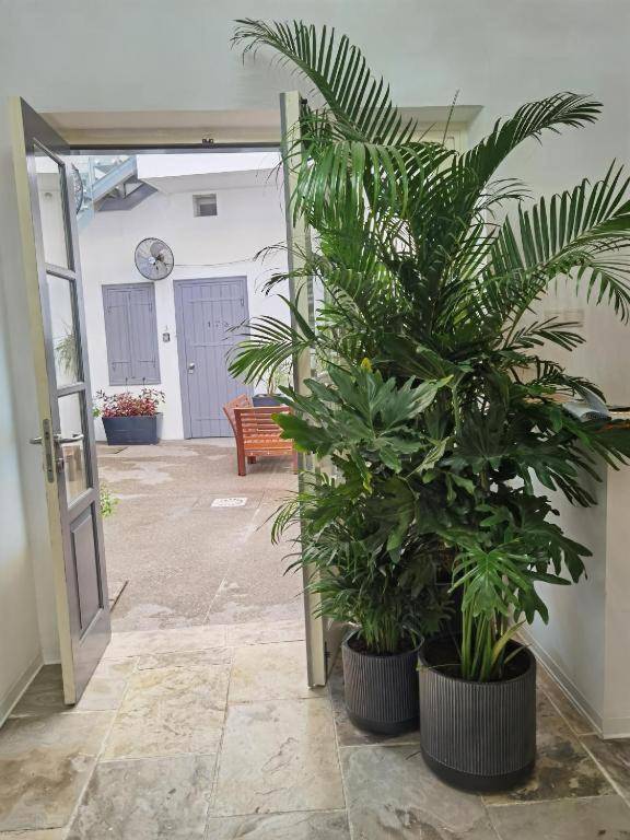 Edem Traditional House