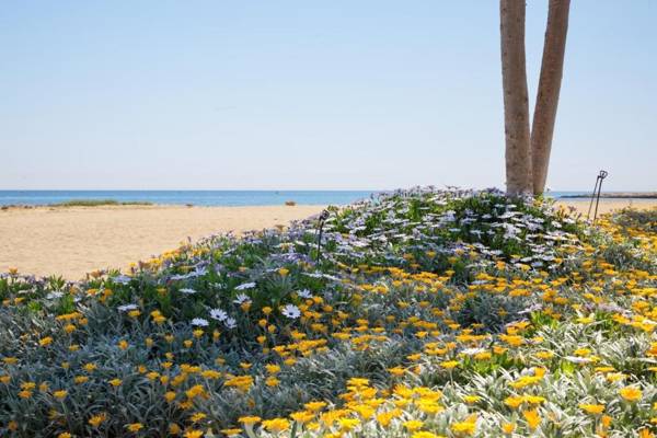 Sunrise Seaview Villas