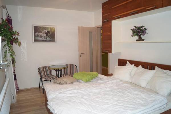 Apartments Klinovec