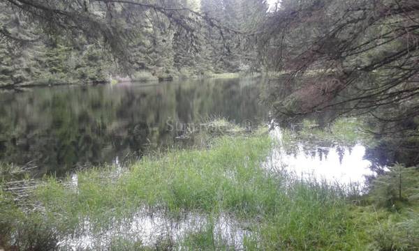 Šumaváček - Exclusive