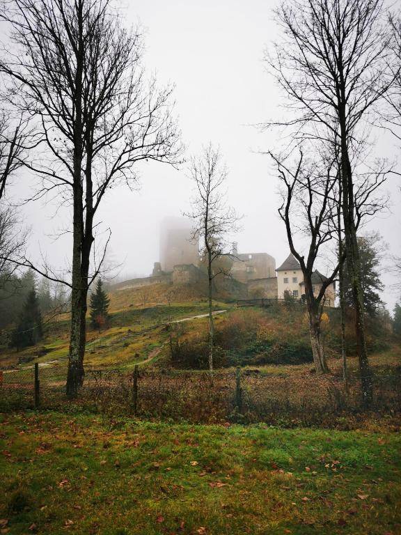 Penzion Landštejnský dvůr