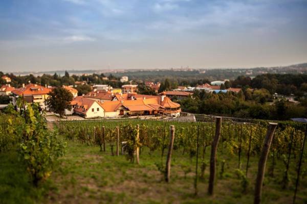 Apartmány Vinice Salabka