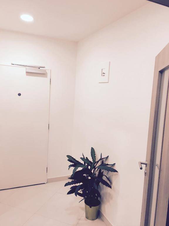 Apartement Blanc de luxe