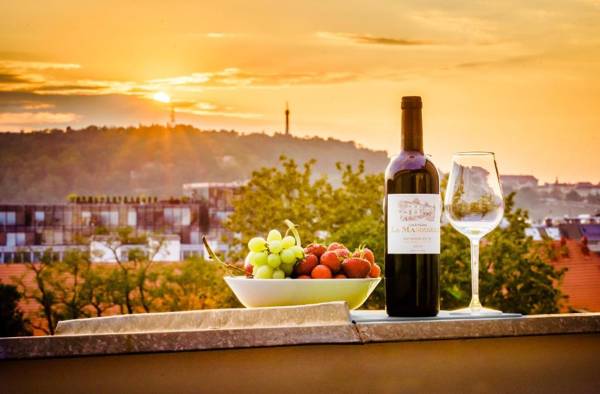 HOME ALONE 5BR+3BATH Penthouse in center of Prague