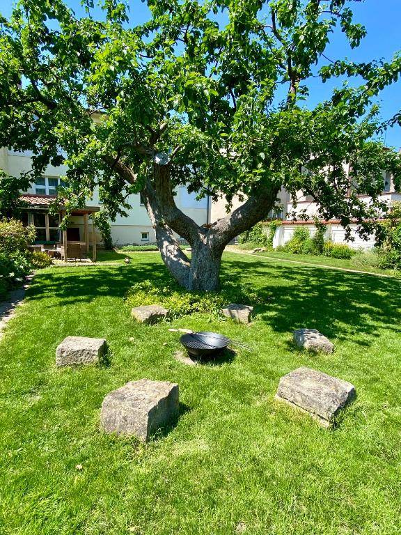 Dobré časy Apartment