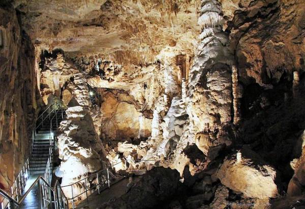 Apartmány Cechovní