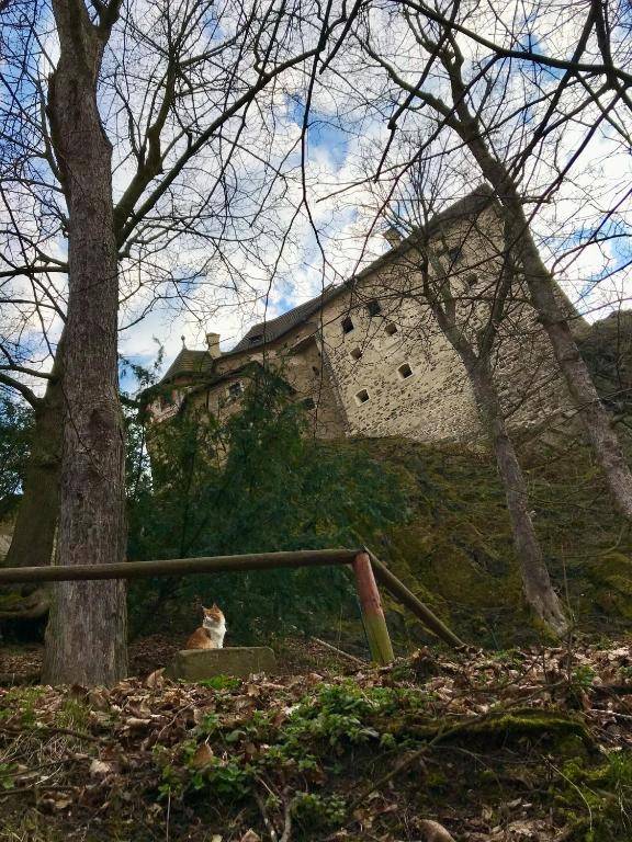 Apartments No 126 Loket