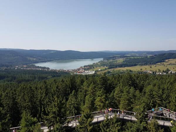 Chalupa na Lipně - Holiday House 1