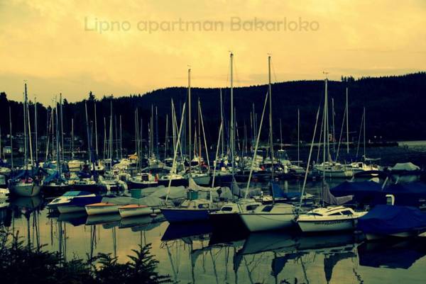 Bakarloko Lipno Apartments