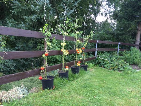 Apartment Liberec Stříbrný Kopec