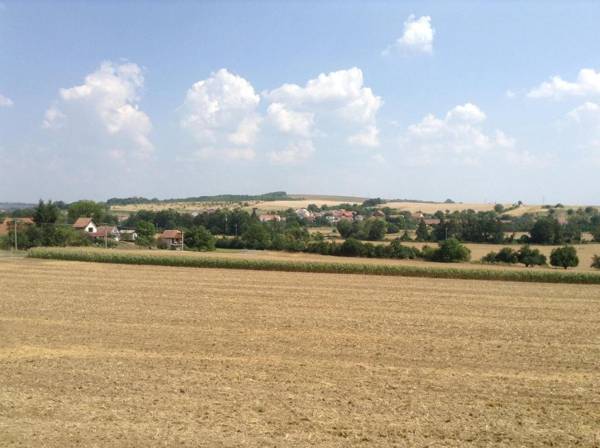 Vinný sklipek u Sidonie