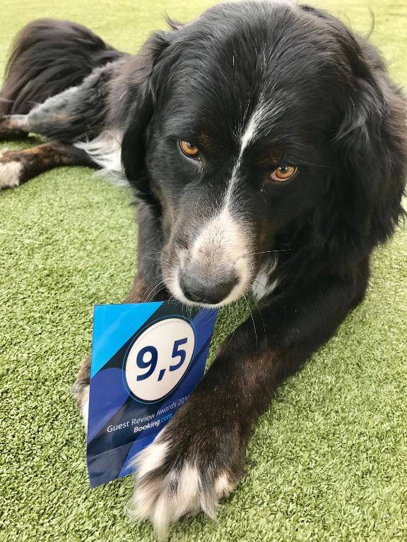 Hotel Premier- Adults Only