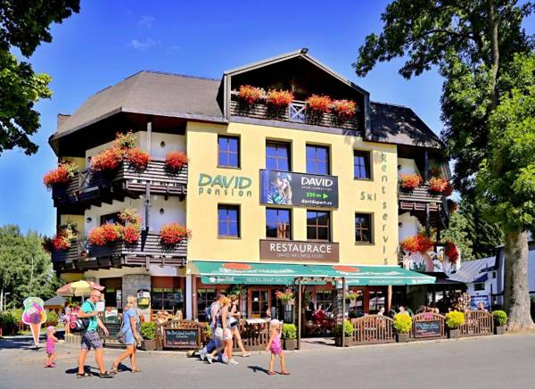 David Wellness Hotel