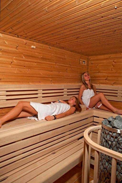 David Wellness Hotel