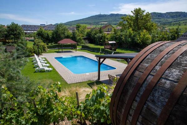 Amenity Penzion Horni Vestonice