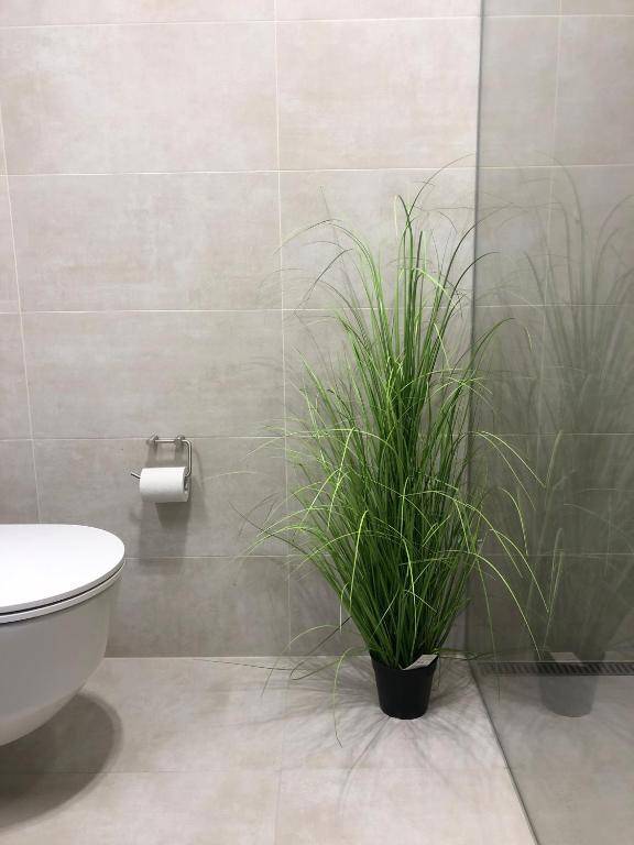 6th Sense Apartments