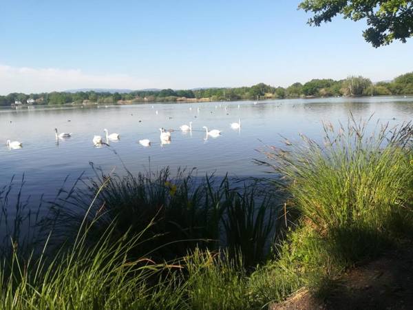 Apartmán Life in Nature