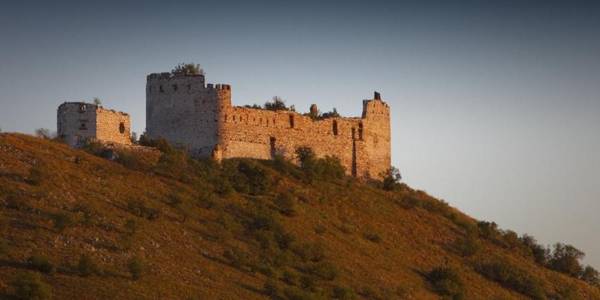 Pálavské Vinohrady