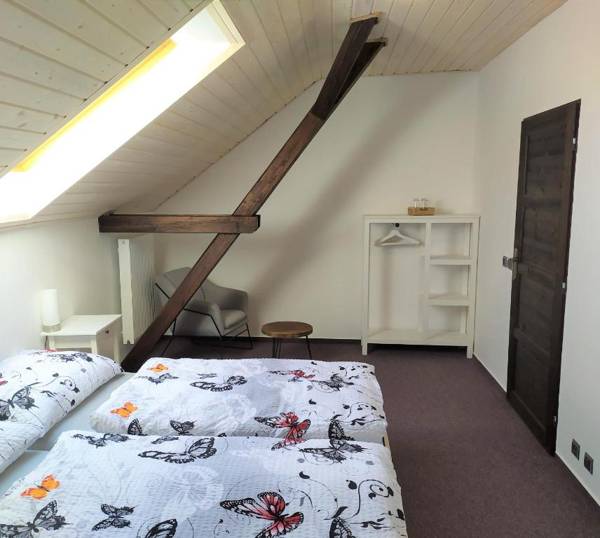 Statek Český Dvůr