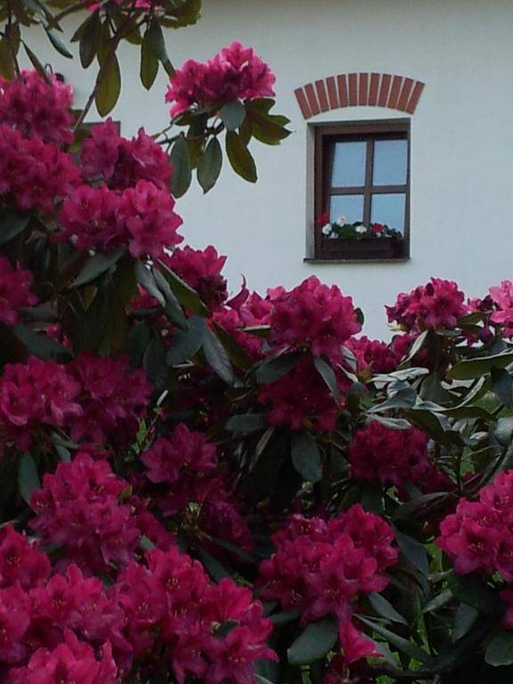 Hotel Castle Mlýn Maděrovka