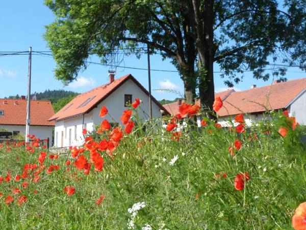 Ubytování u Zámku