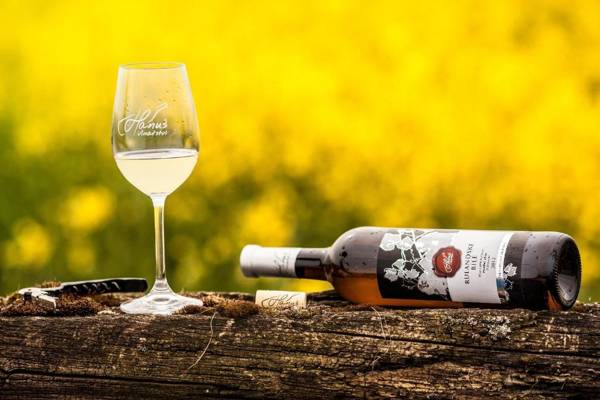 Penzion - Vinařství Hanuš