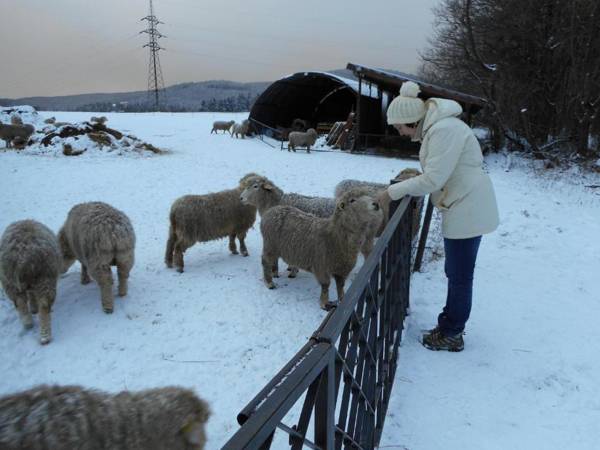 Apartment Ramzová Adam 25