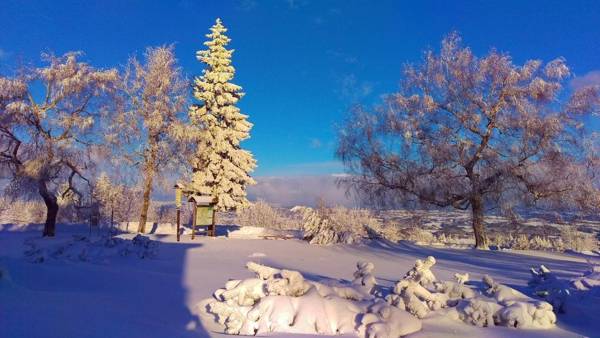 Riegrova Chata Kozákov