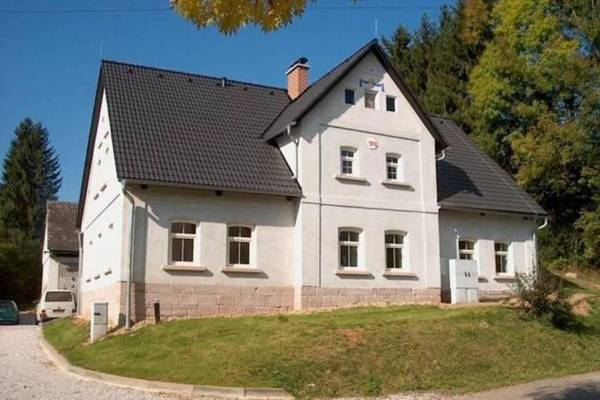 Modern Holiday Home in Vidochov with Private Swimming Pool