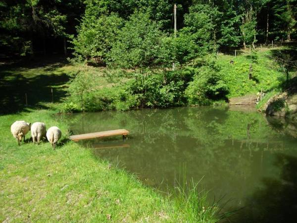 Apartmány Na Lontě