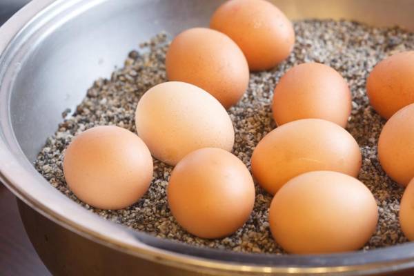 Lazensky Hotel Villa Smetana