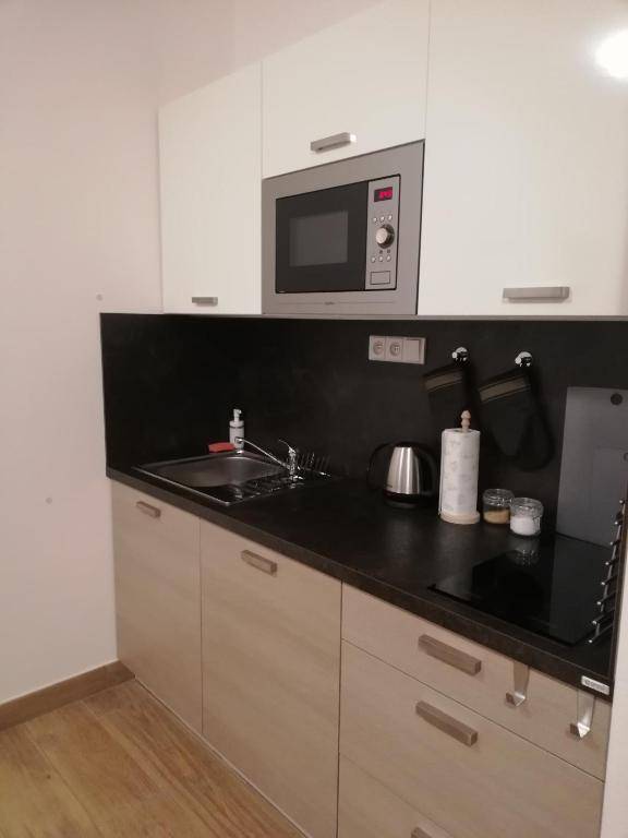 Apartmán Bezkov 108