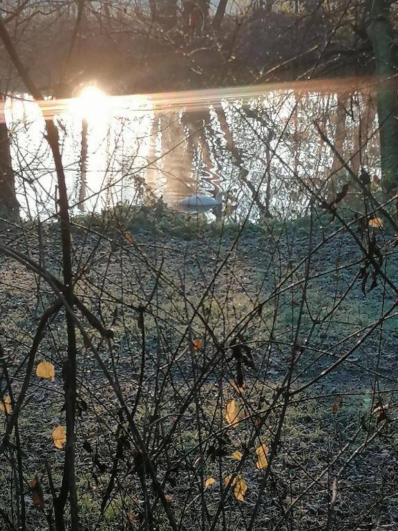 Zimmer zur ehemaligen Weinstube