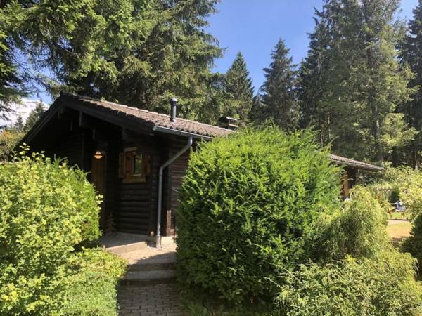 Wooden bungalow with oven in Oberharz near a lake