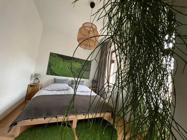 Zur Zenkergasse - Studios & Apartments & DZ in der City