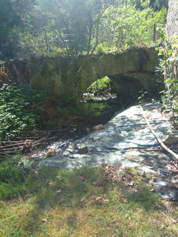 Pulvermühle - 3 Zimmer Bad direkt am Stettbach und mitten im NATURA 2000 Gebiet