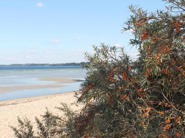 Modern Apartment in Elmenhorst near Sea