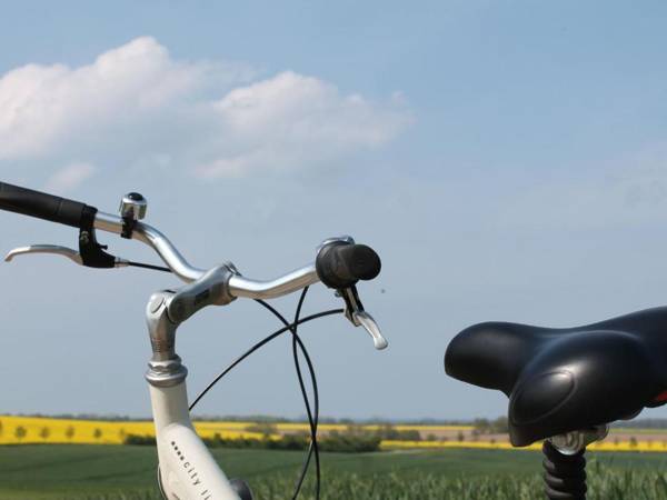 Elegant Apartment in Warnkenhagen with furnished terrace