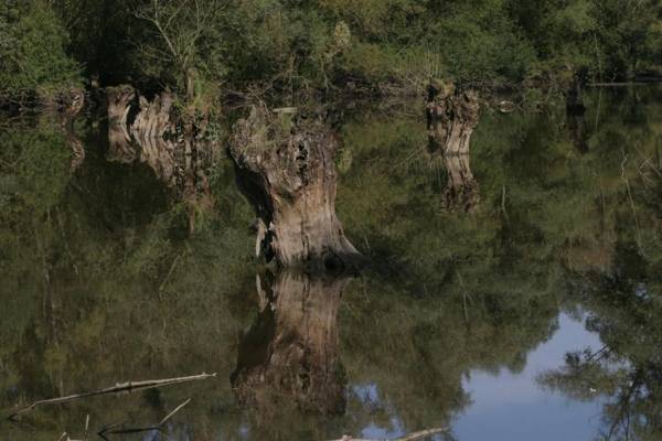 Hotel Landgasthof Ratz