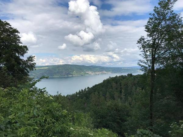 Über den Dächern von Bodman