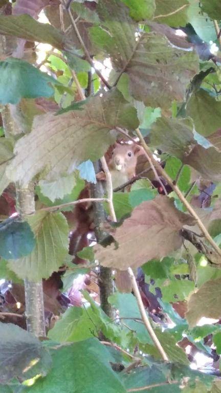 Ferienwohnung Noeska 85020